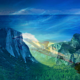 Dolphin In The Sky - original credit National Geographic